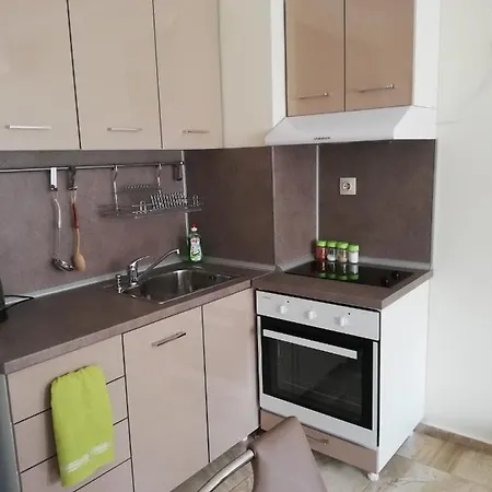 Zhelezovi Apartamento *